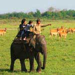 Elephant Safari in Jim Corbett National Park