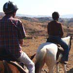 Horse Safari in Jim Corbett National Park