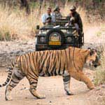 Jeep Safari in Jim Corbett Natioanal Park including Dhikala, Bijrani, Jhirna, Durgadevi, Sitabani, Dhela